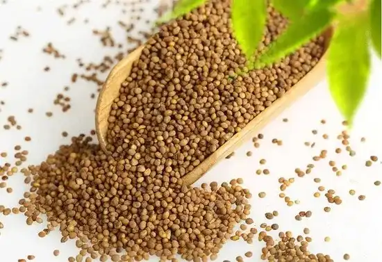 How Dodder Seed Extract Supports Eye Health and Overall Wellness?